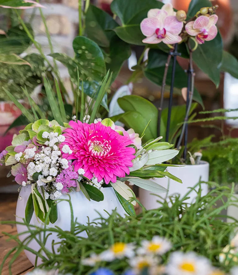 Bouquet de Fleurs Caractère Fleurs